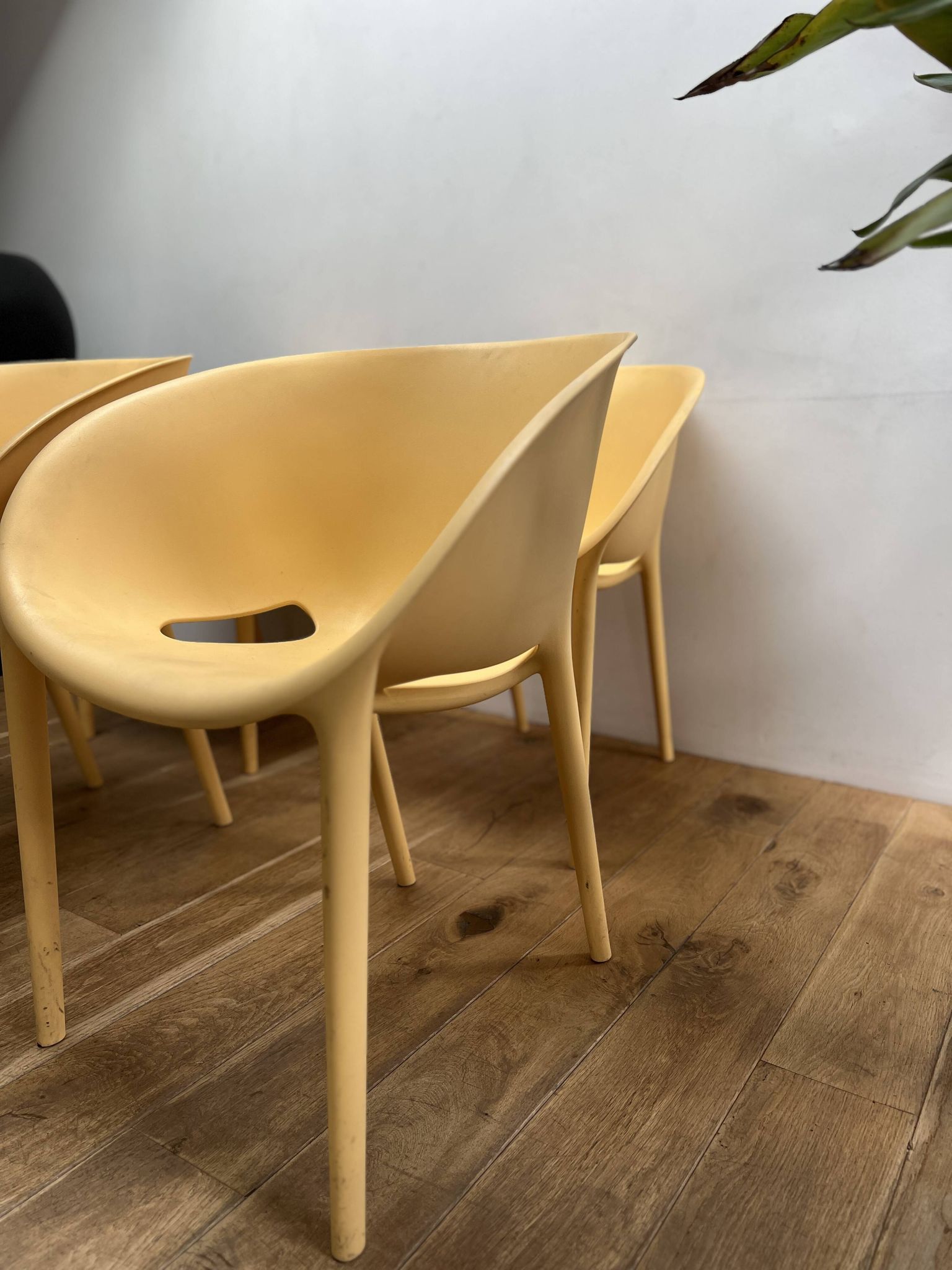 Series of 4 Soft Egg armchairs by Starck for Driade, Italy