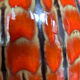 Large West Germany vase from the 70s Jasba