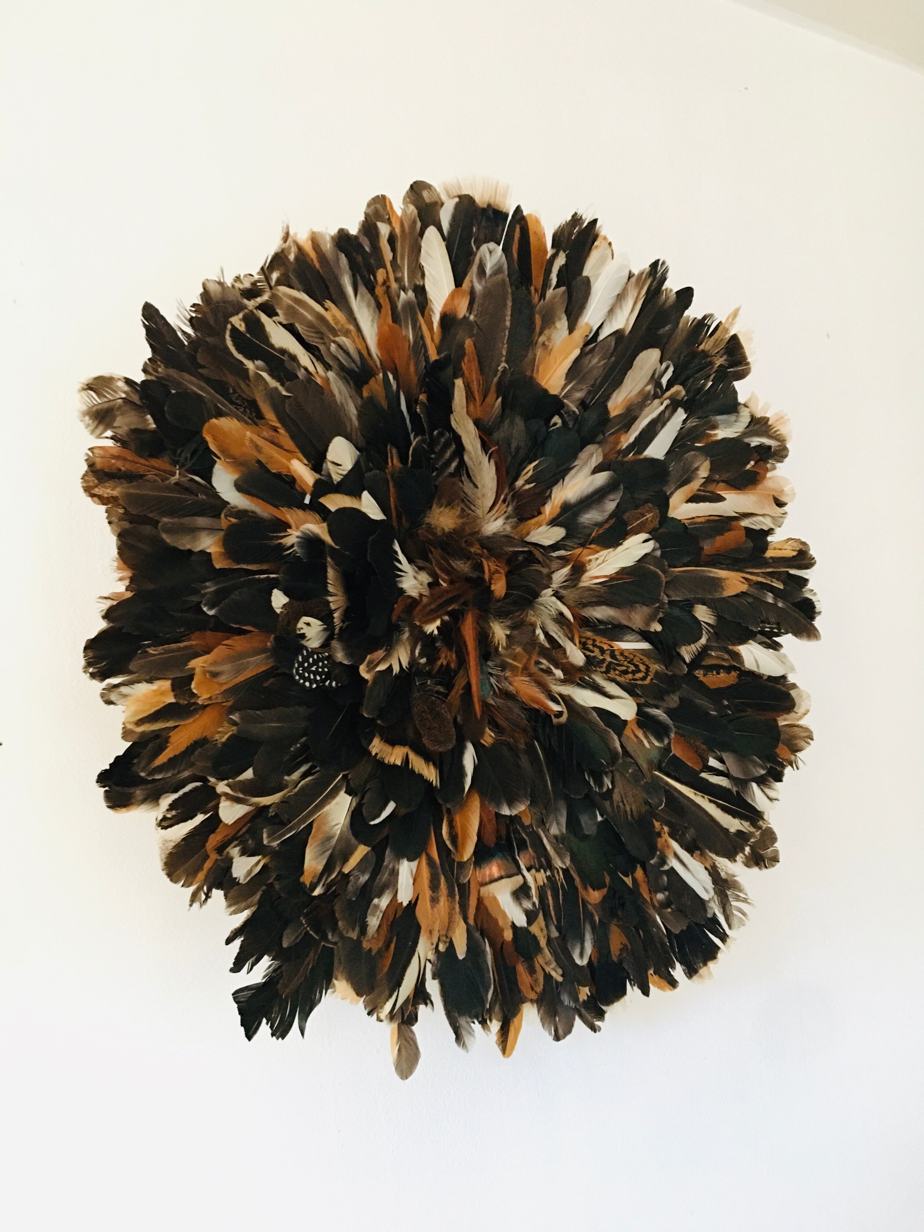 Speckled black jujuhat 50 cm