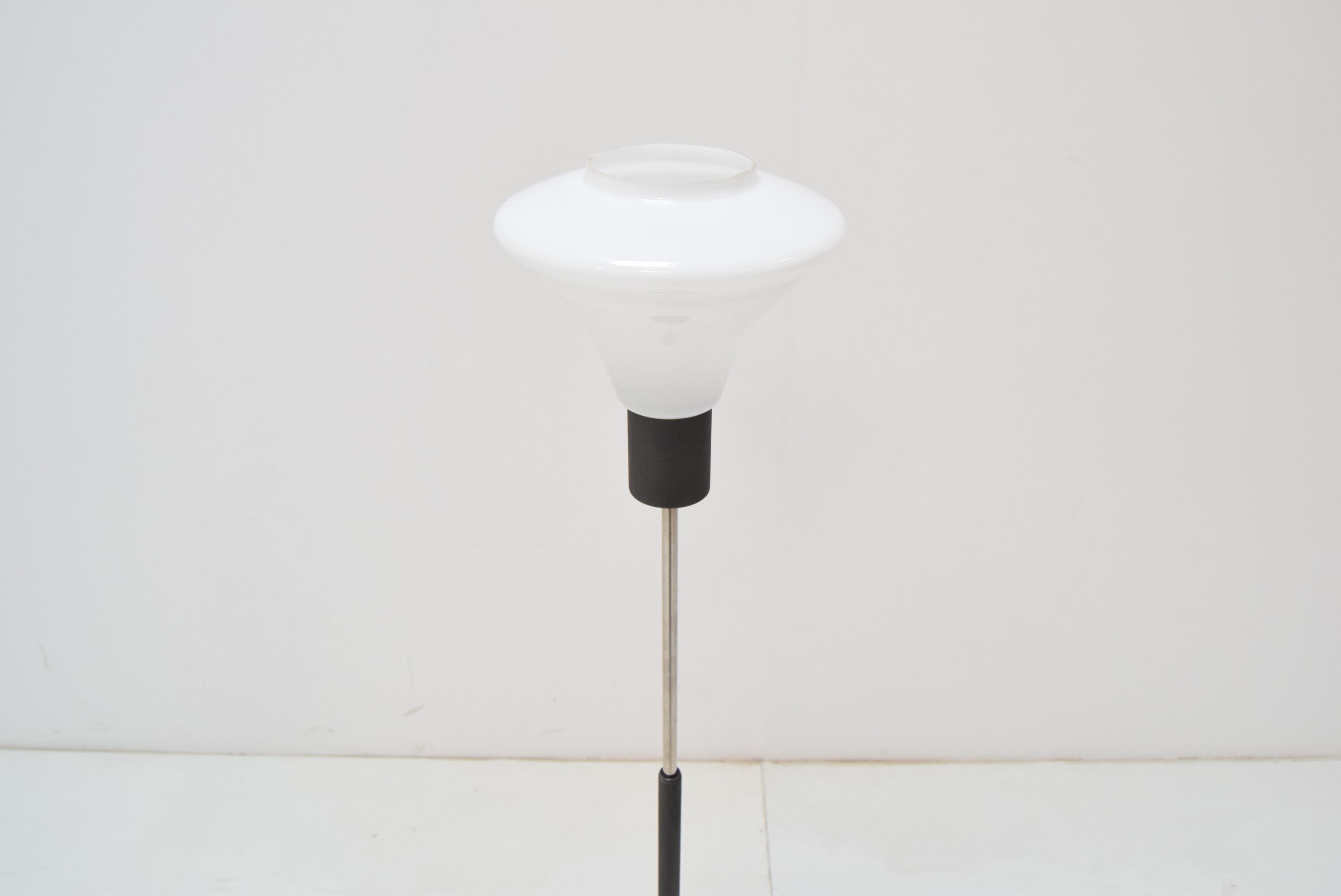 Mid-century floor lamp by Kamenicky Senov,1960