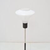 Mid-century floor lamp by Kamenicky Senov,1960