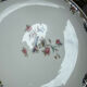 Fruitier on old foot Theodore Haviland Limoges – Porcelain from France