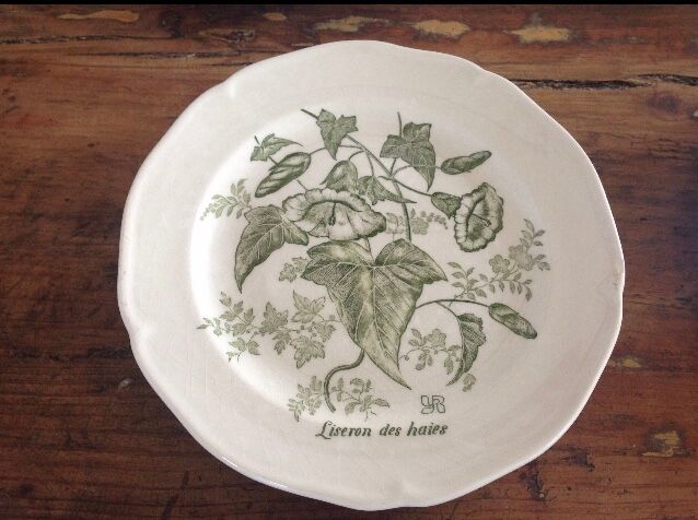 Lot of 6 Gien flat plates