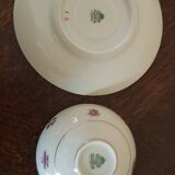 Royal Ivory Bohemia porcelain cups and saucers