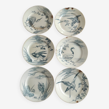 6 assiettes plates , Kellers & Guerin Luneville, signature japonisante, oiseaux et arbustes, bleues