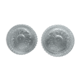 2 identical ceiling lamps