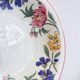 10 deep plates Staffordshire - England