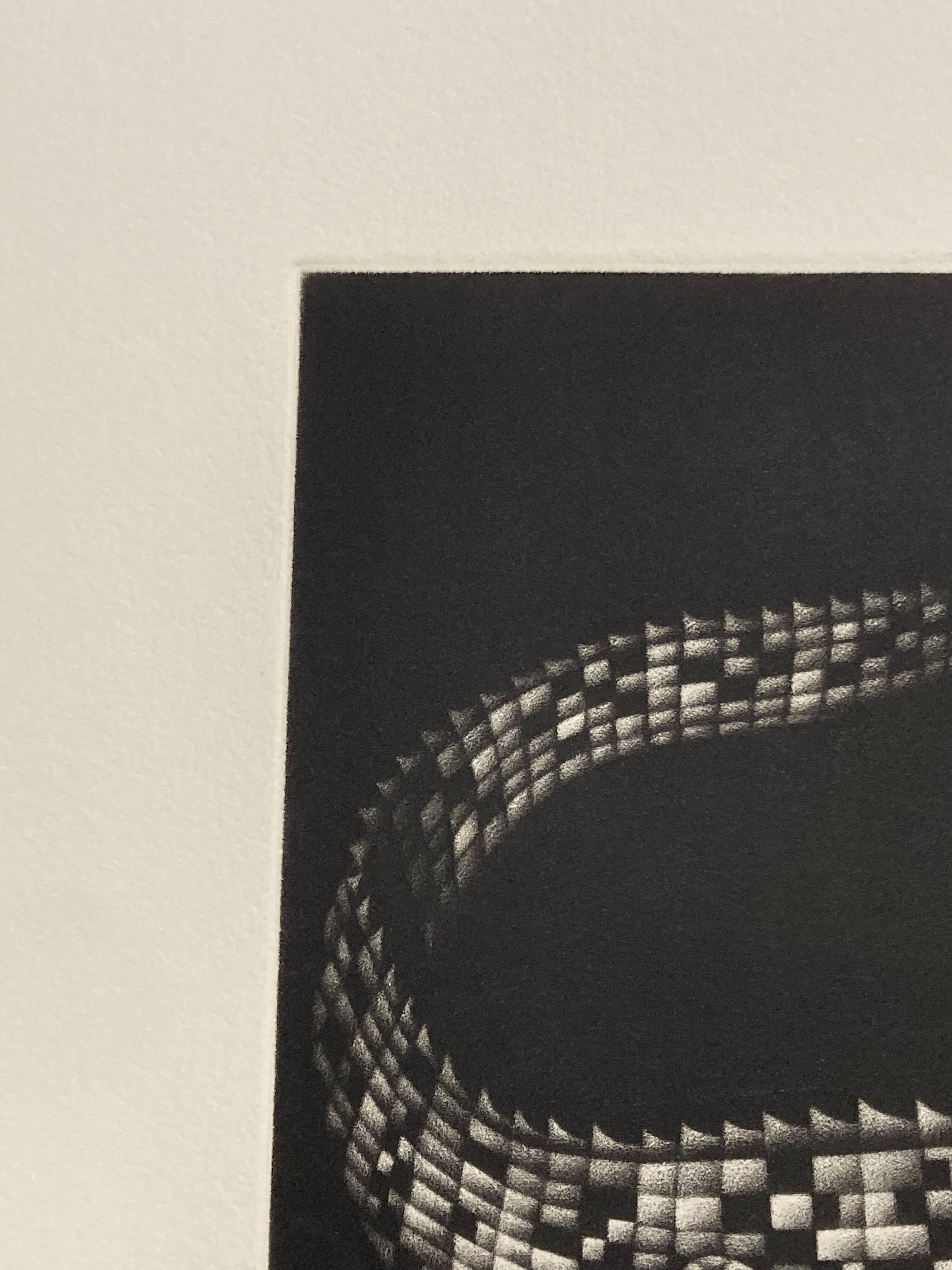 Mario avati (1921-2009), alligator, black and white, 1970