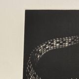 Mario avati (1921-2009), alligator, black and white, 1970