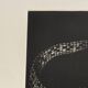 Mario avati (1921-2009), alligator, black and white, 1970