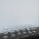 12 glass cups
