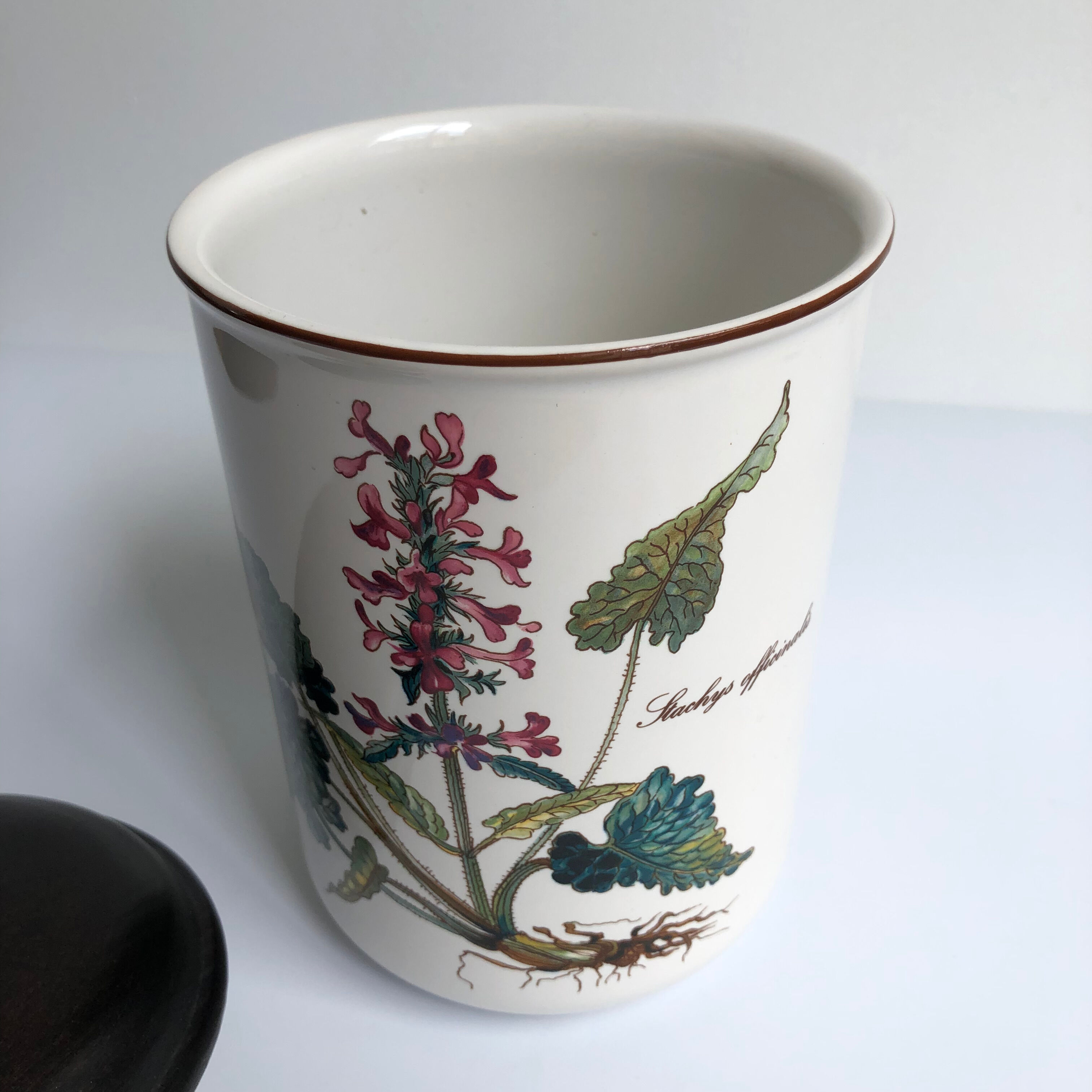 Villeroy & Boch Pot à Epices Model BOTANICA Stachys Officinalis - Deco Cuisine