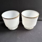 Paire de cache-pots – opaline de cristal - xixème