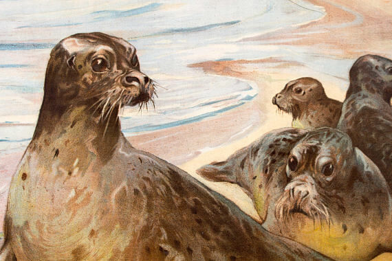 Educational Grid Poster 1891