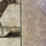 Book XVIIIth buffon, bonnaterre, natural history, quadrupeds, mammals