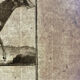 Livre XVIIIe buffon, bonnaterre, histoire naturelle, quadrupèdes, mammifères