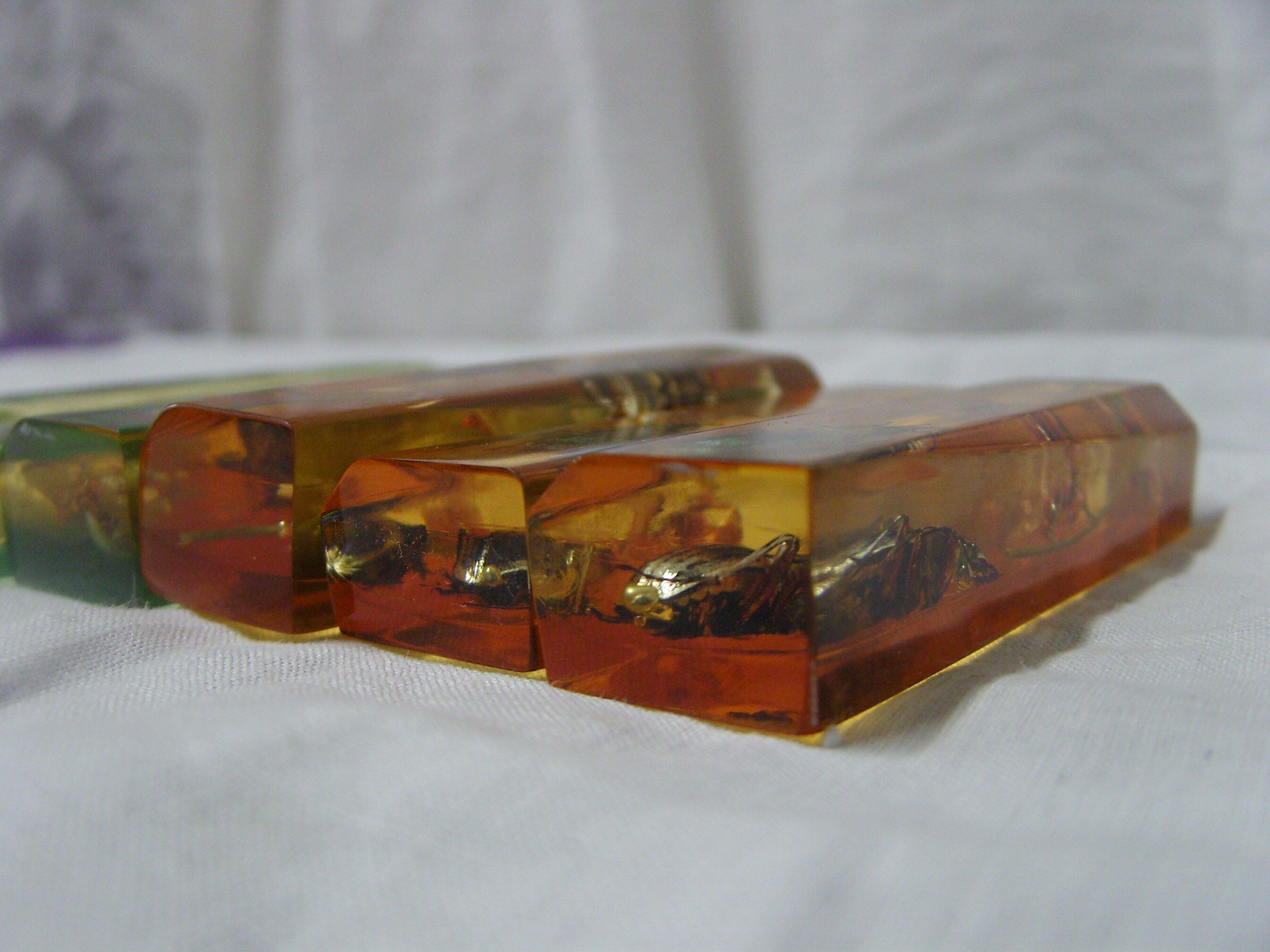 6 knife-wielding vintage insect inclusion