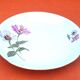Deep serving dish Fine Bohemian porcelain