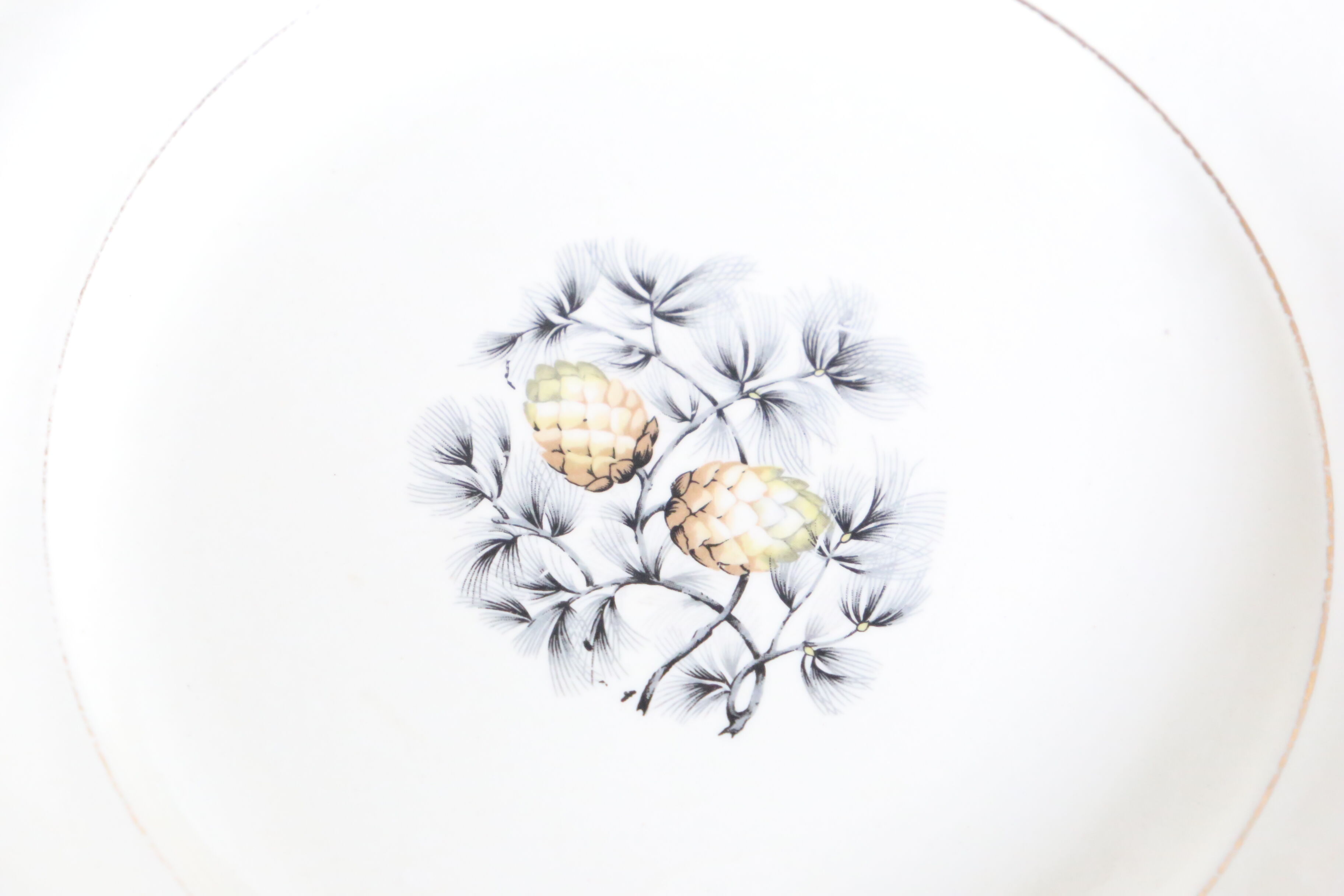 Dessert plates, set of 10, Ceranord Saint Amand
