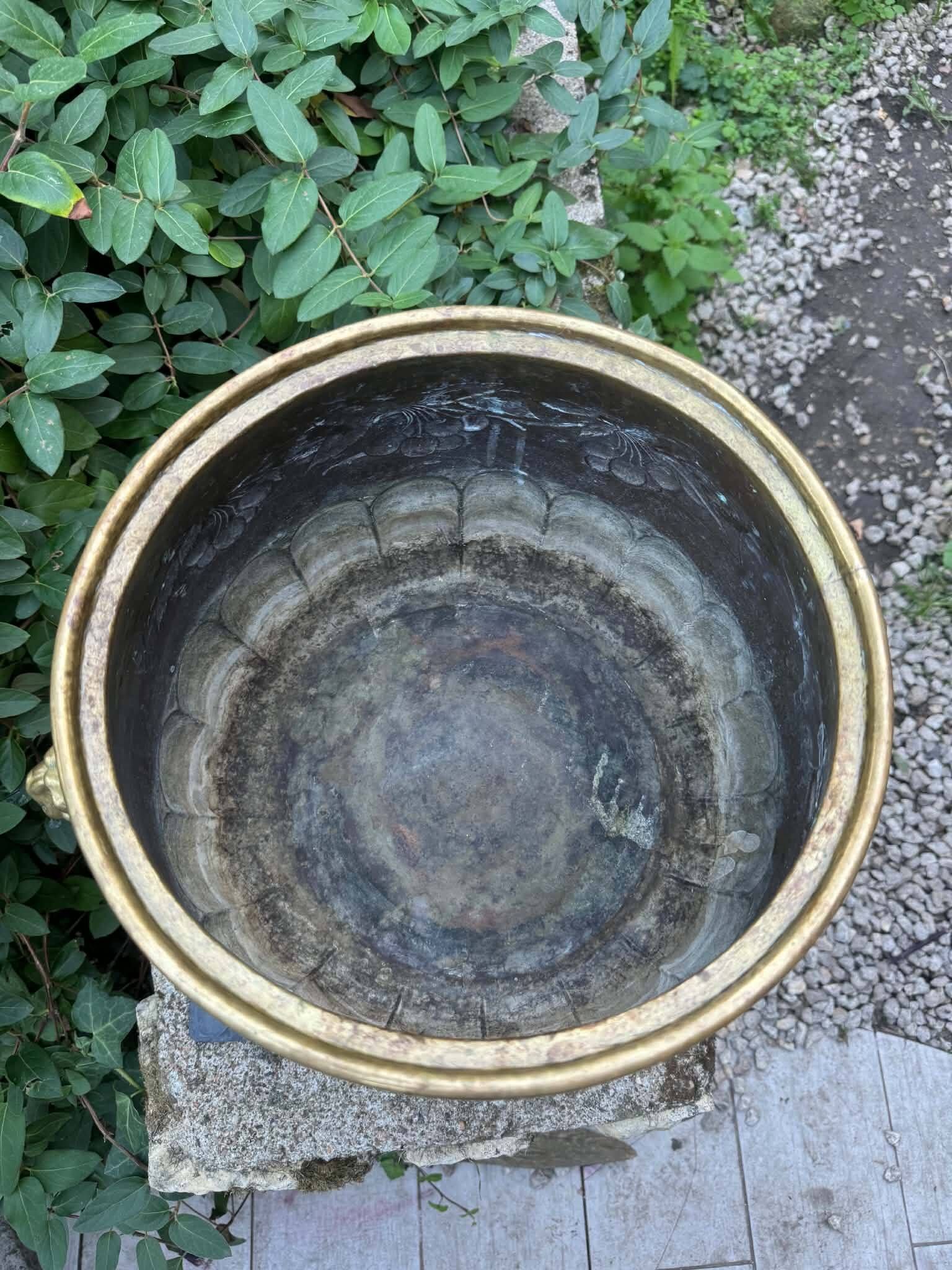 Large brass lion planter with a hallmark from the 19th century.