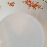 Set of 6 flat plates Arcopal vintage floral decoration