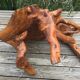 Brutalist teak root coffee table