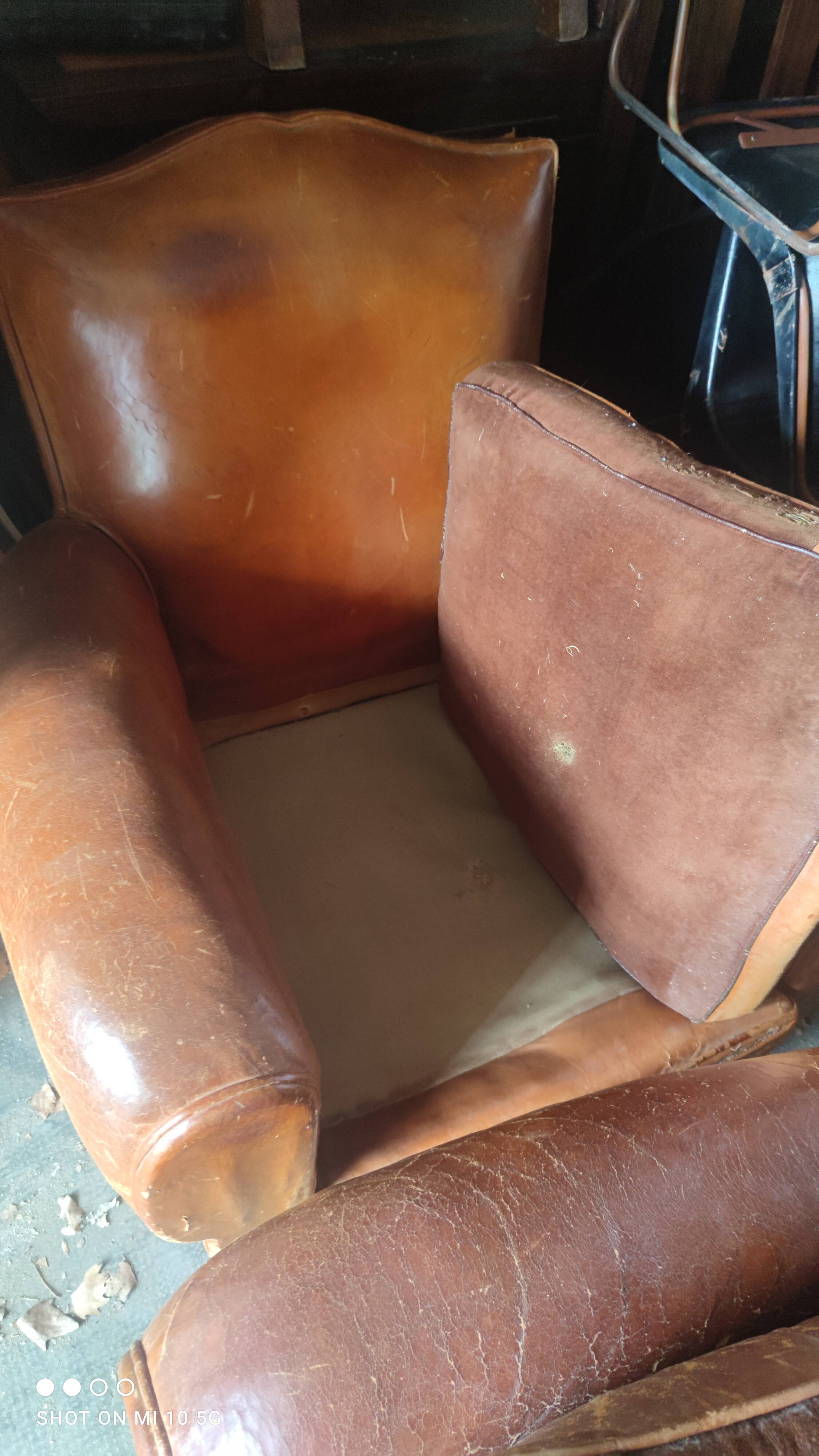 Pair of club chairs with moustache-shaped handles in Havana leather, in their original condition, circa 1930