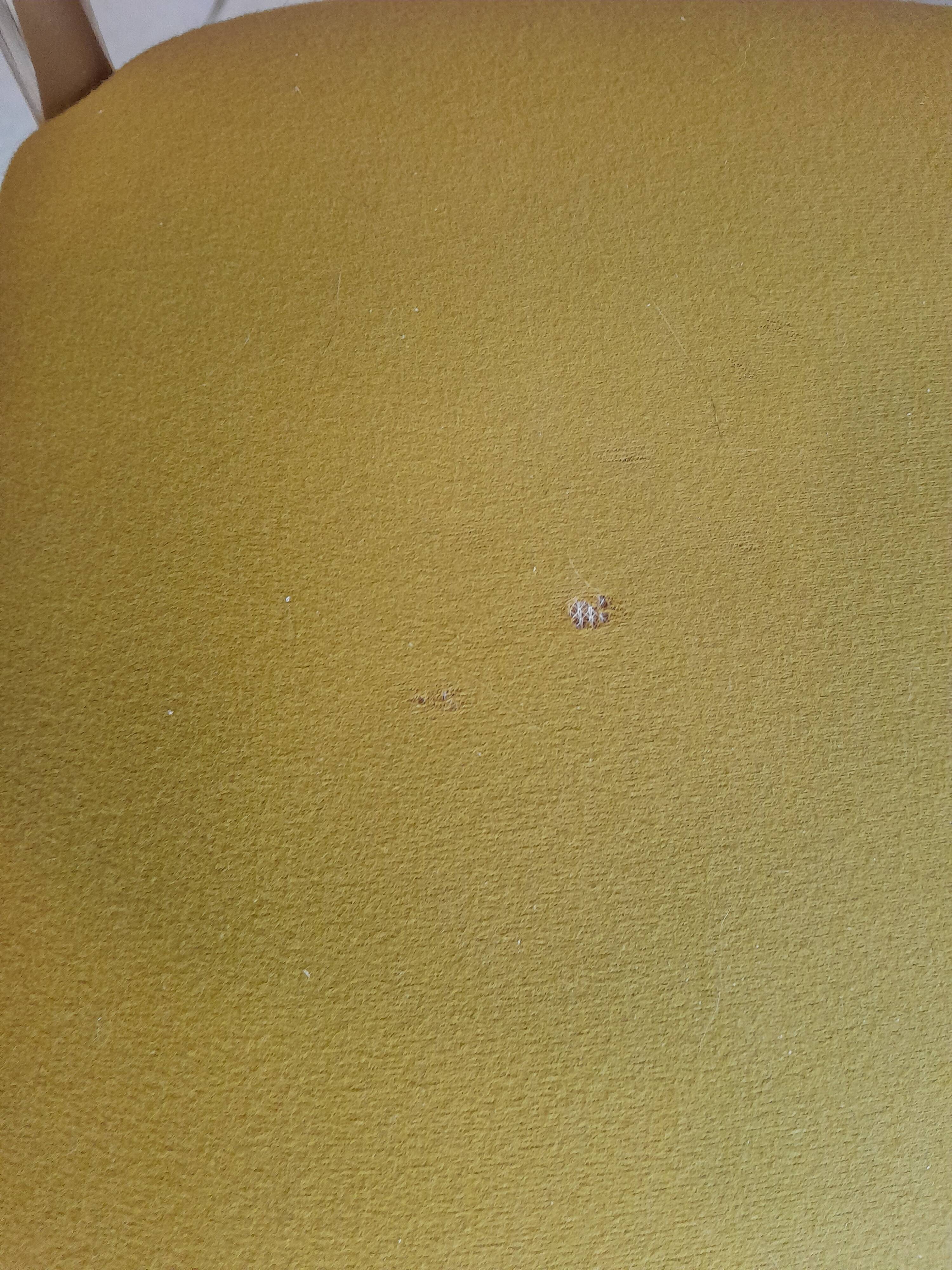 Pair of vintage golden designer chairs from the 50s