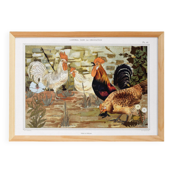 Affiche “Coqs et Poules”, d’après une lithographie art nouveau de 1897