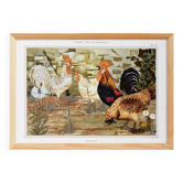 Affiche “Coqs et Poules”, d’après une lithographie art nouveau de 1897
