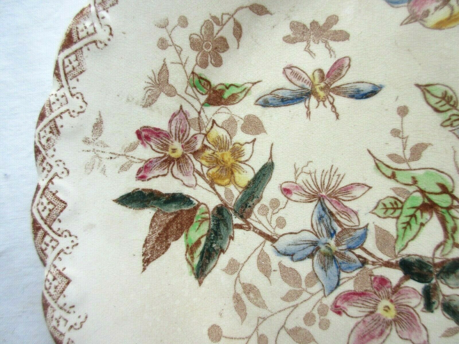 Polychrome dessert plate signed onnaing, birds, butterflies and flowers