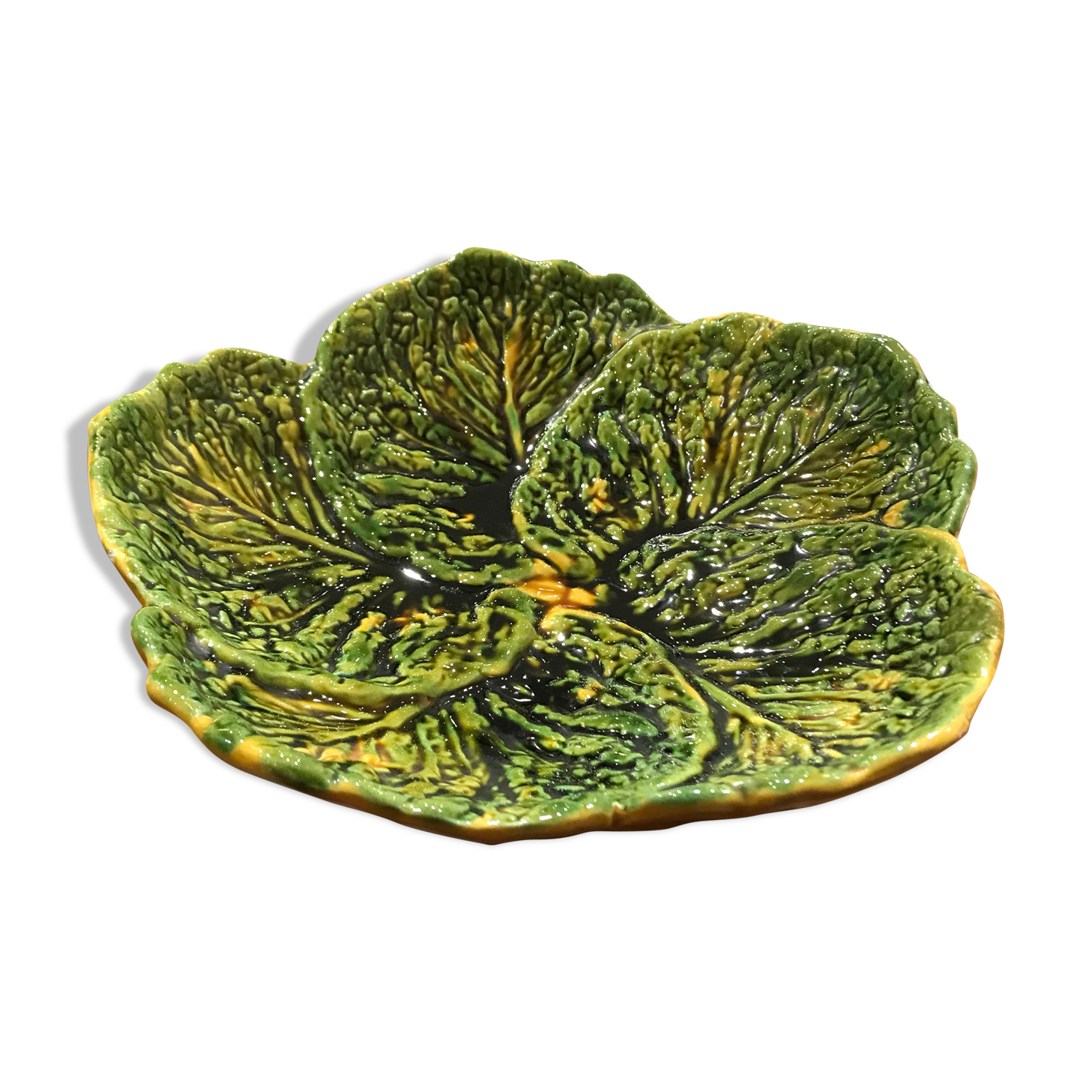 Flat slurry cabbage leaves Vallauris