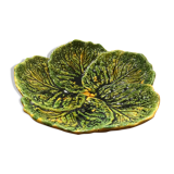 Flat slurry cabbage leaves Vallauris