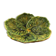 Flat slurry cabbage leaves Vallauris