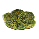 Flat slurry cabbage leaves Vallauris