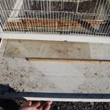 Vintage aviary, foot cage on wheels 147x67x49cm.