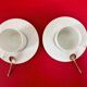 Pair of Limoges porcelain cups - Maison Raynaud - Washington