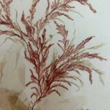 vintage painting natural algae