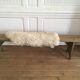 Former bench solid wood