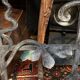 Art Nouveau iron cast iron railing