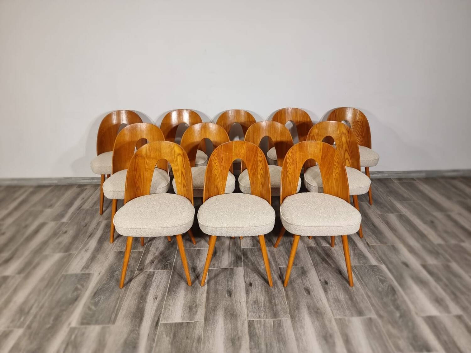 Dining Chairs from Antonin Suman, 1960s, Set of 12