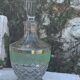 Green glass granite carafe and vintage gold edges 1950