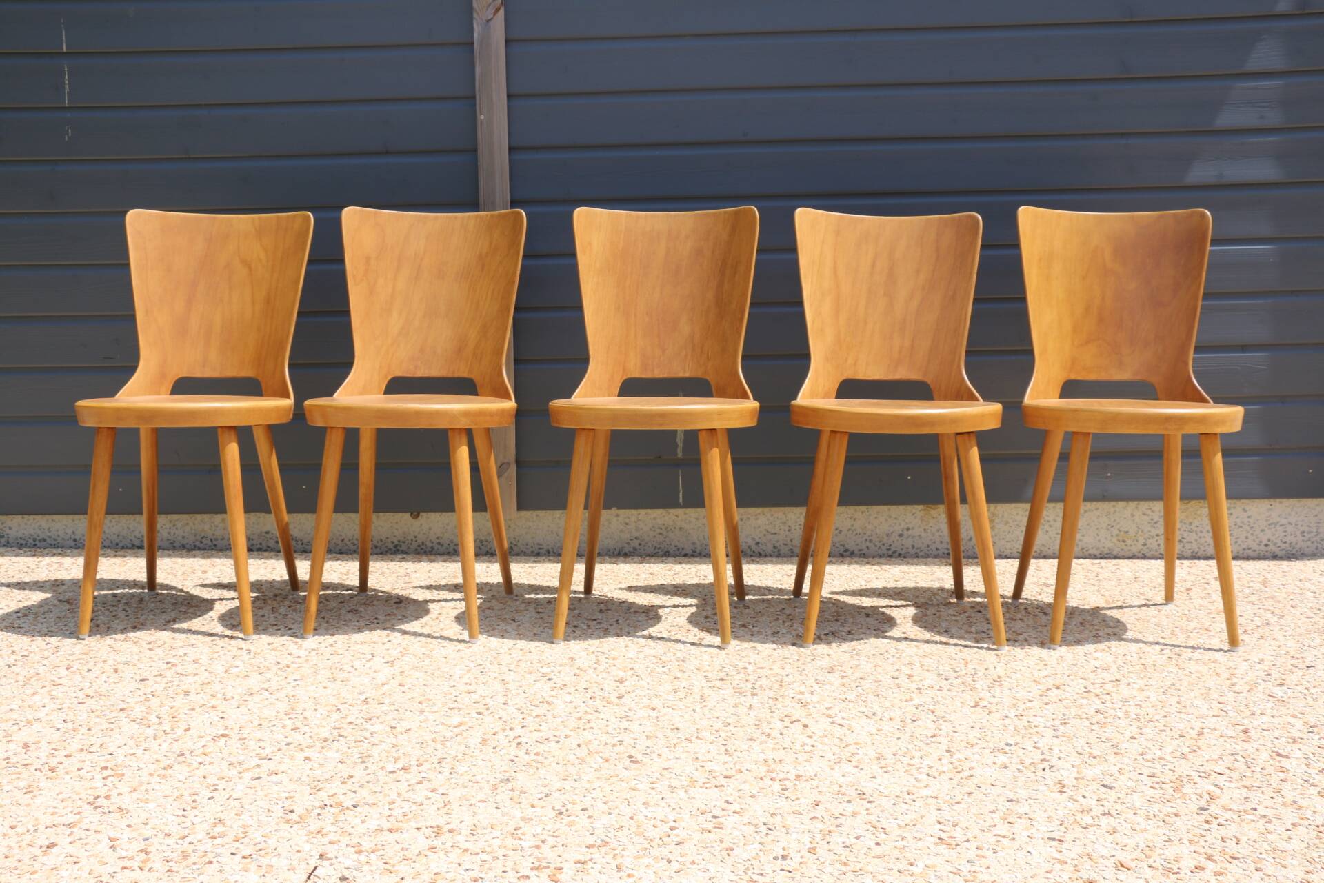 5 chaises baumann « dove »