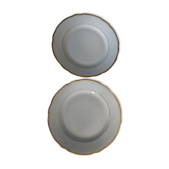 Plates plate sellmann weiden porcelain