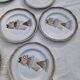 Set of 9 Saint Amand flat plates with fish decor