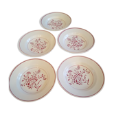 Hollow plates iron earth Lunéville KG carnation model