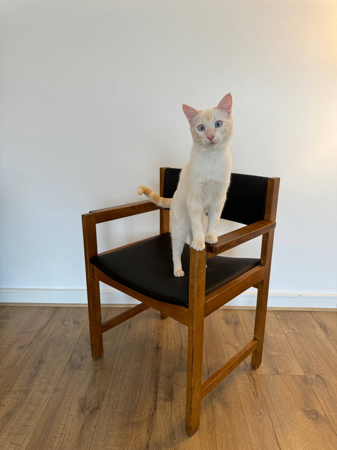 Fauteuil vintage danois Hongstole, 1970