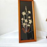 Vintage mountain edelweiss flower herbarium frame