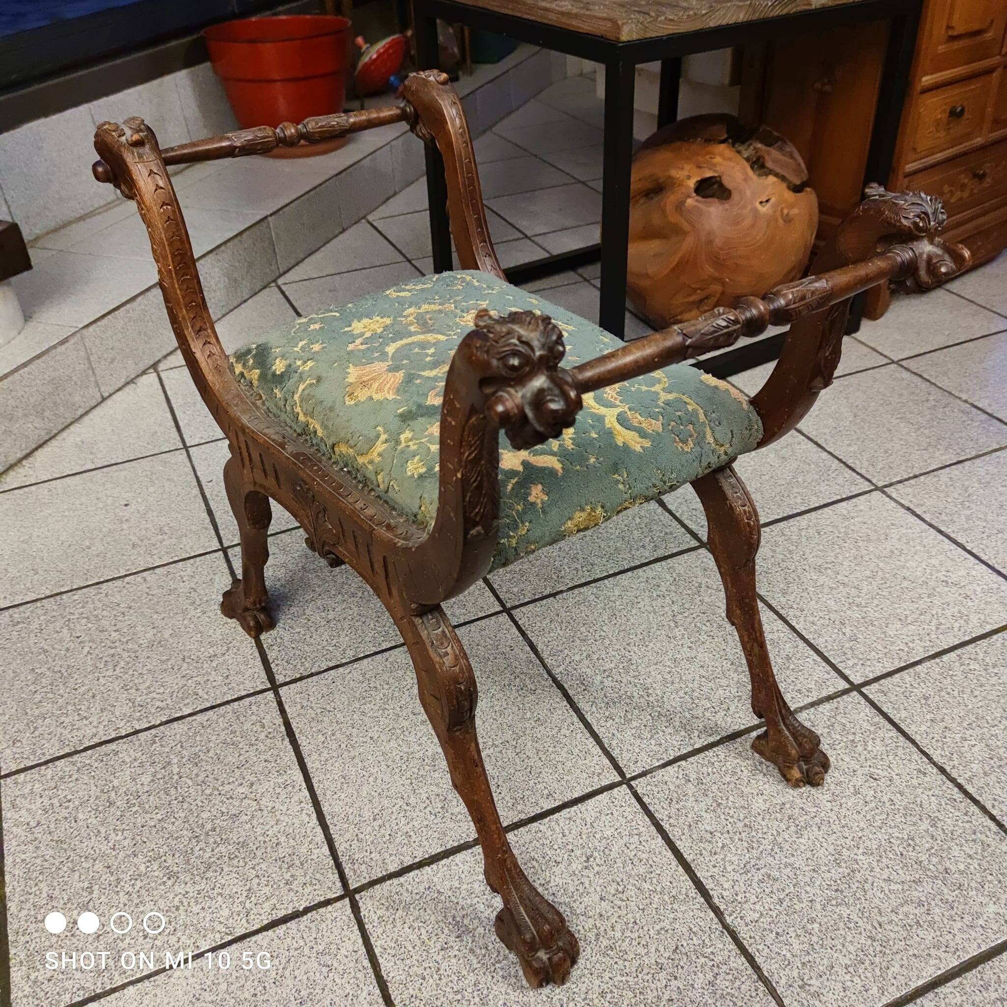 Dagobert curule armchair in walnut