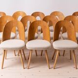 Set of 12 Mid Century Dining Chairs by A.Šuman, 1960s, Reupholstery Options